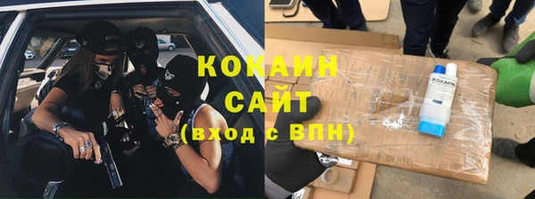 прущие грибы Алексеевка