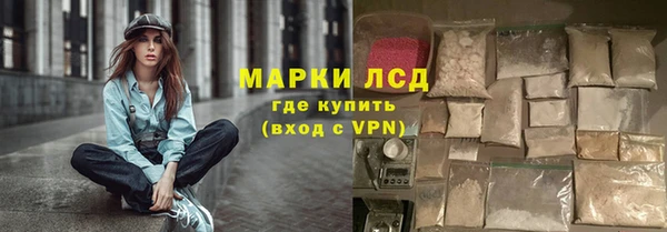 хмурый Алексин