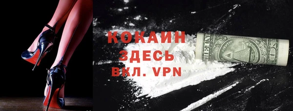 хмурый Алексин