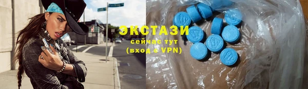 хмурый Алексин