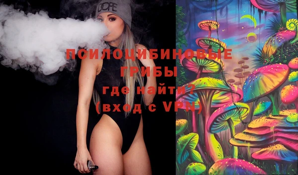 прущие грибы Алексеевка