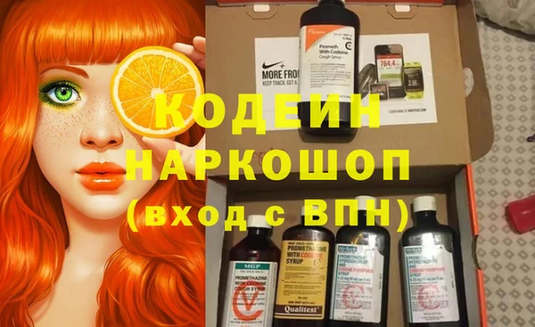хмурый Алексин