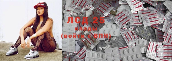 прущие грибы Алексеевка