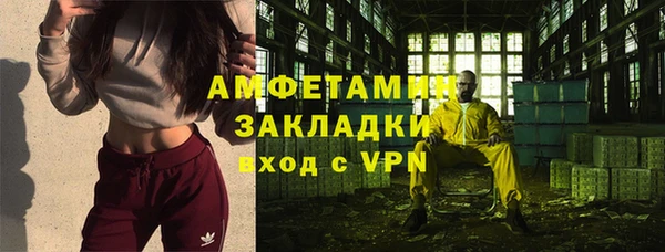 хмурый Алексин