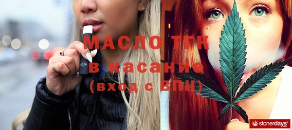 хмурый Алексин
