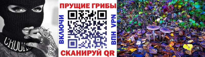 Псилоцибиновые грибы мухоморы  купить наркотик  Апрелевка 